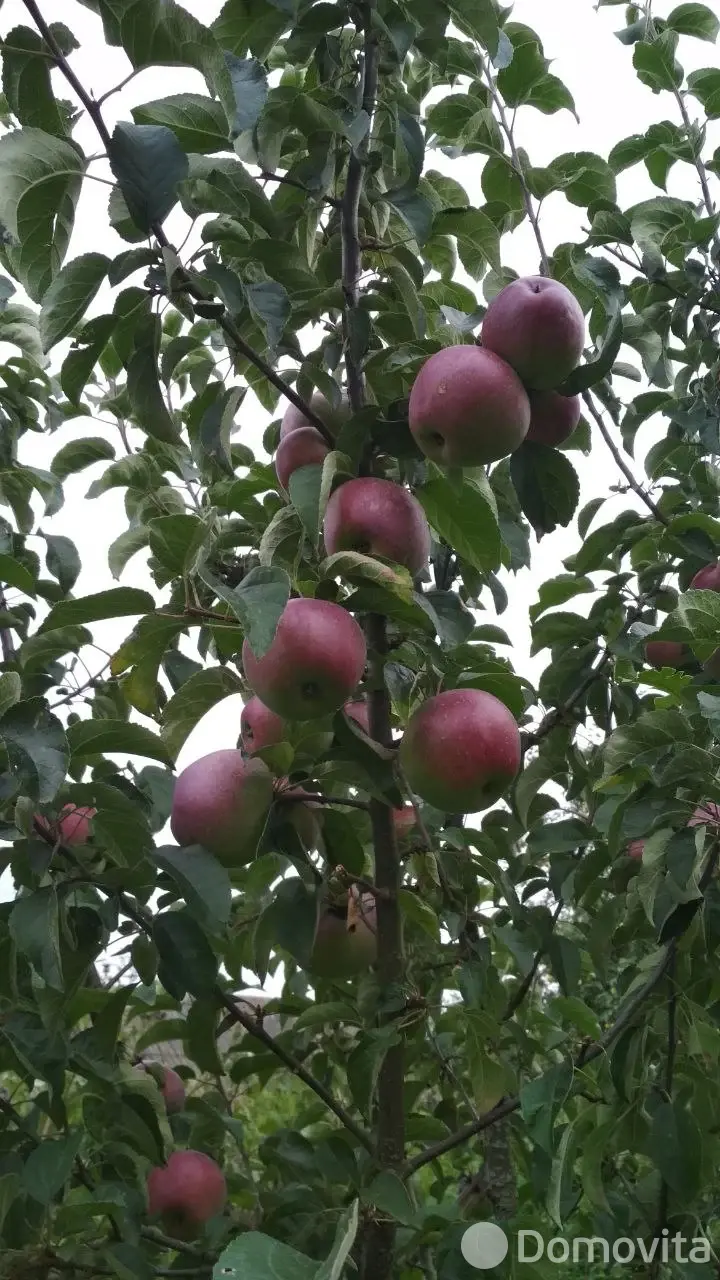 дом, Славгород, ул. Карла Маркса, д. 47 от собственника