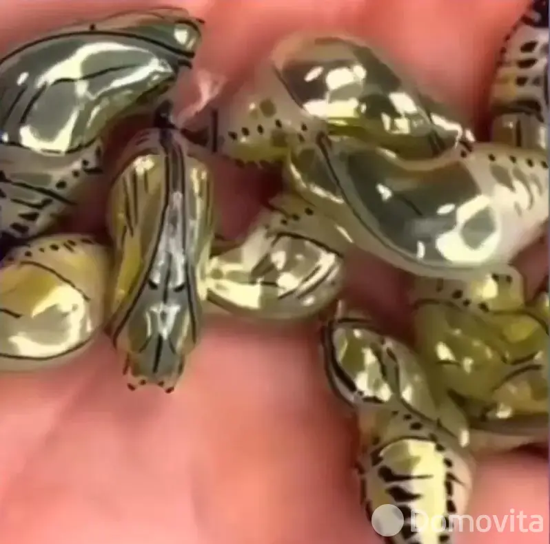 Купить помещение под сферу услуг в Минске, ул. Кирилла Туровского, д. 16 - фото 38