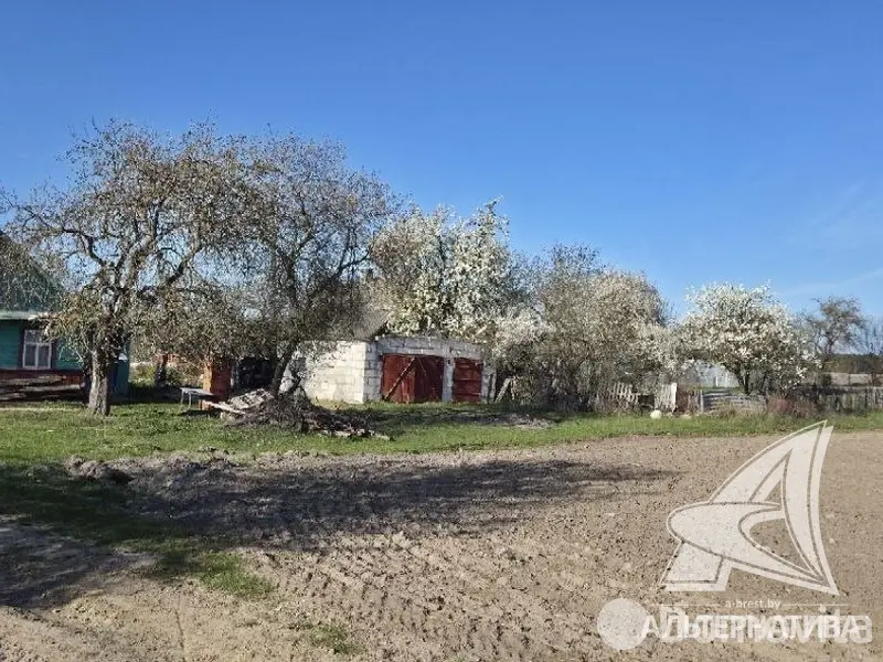 дом, Паниквы, , стоимость продажи 48 000 р.