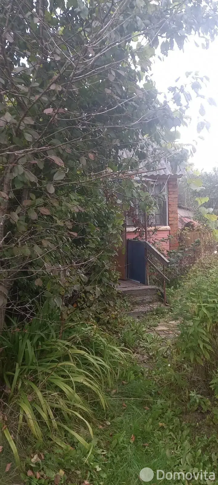 дача, Свислочь, 