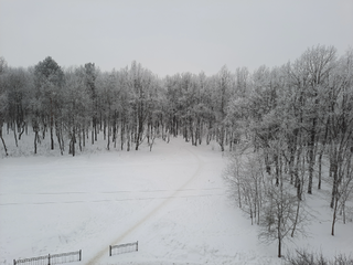 1-комнатная квартира, Брест, пер. Сосновый, д. 14/1