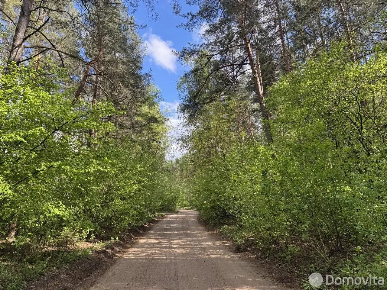 Продажа 1-этажной дачи в Заценьский Родник Минская область, 269000BYN, код 186050 - фото 36