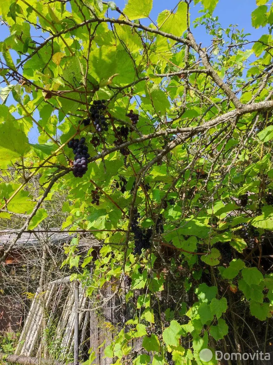 участок, Атлант-3,