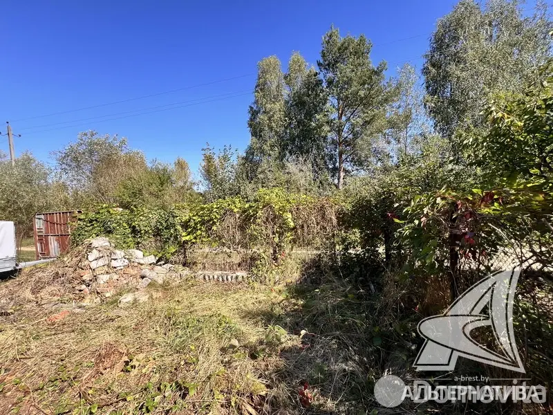 Купить 1-этажную дачу в Южное Брестская область, 22300USD, код 184188 - фото 10