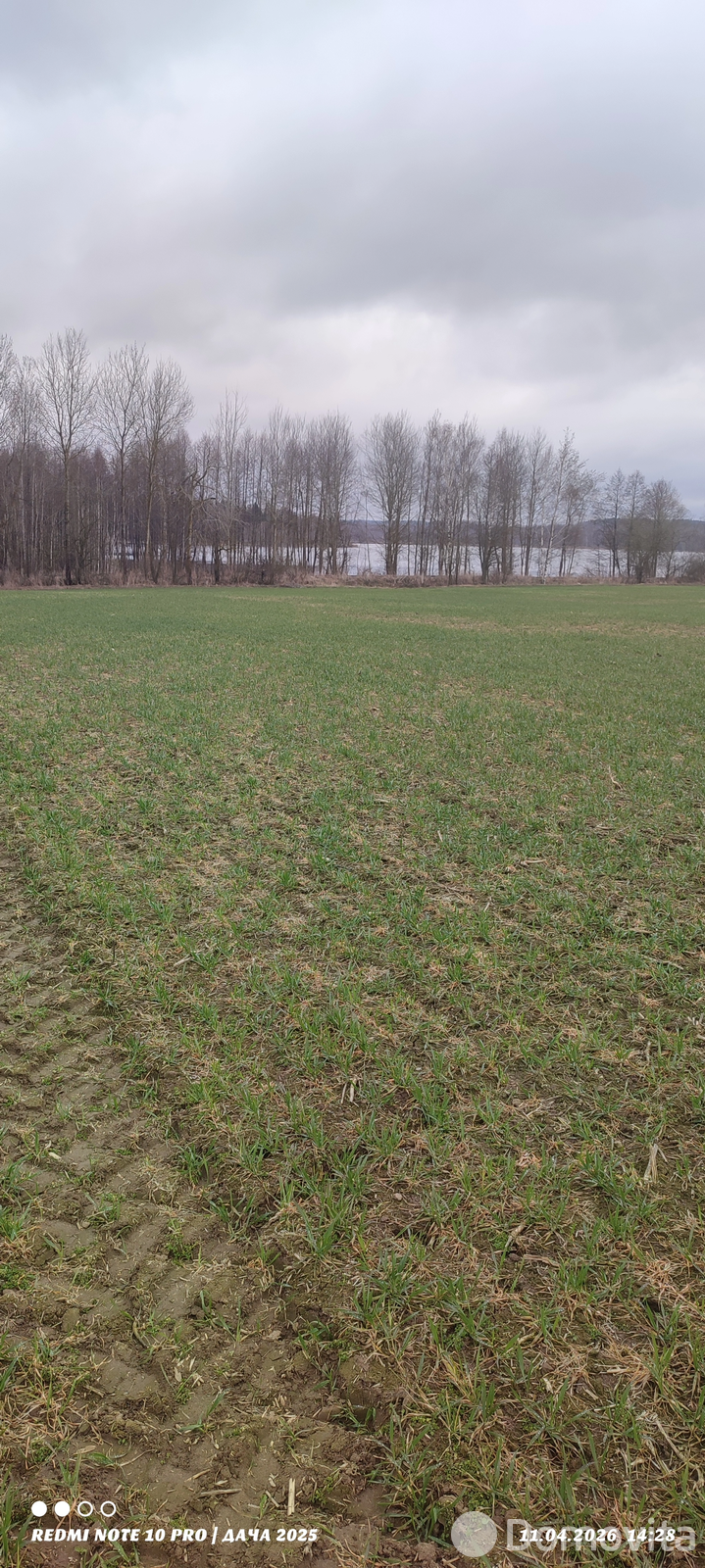 Купить земельный участок, 25 соток, Юрьево, Минская область, 11500USD, код 570952 - фото 20