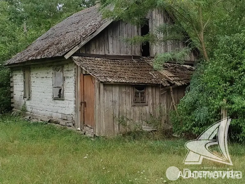 участок, Урожай ОАО Брестхлебопродукт, , стоимость продажи 55 876 р.