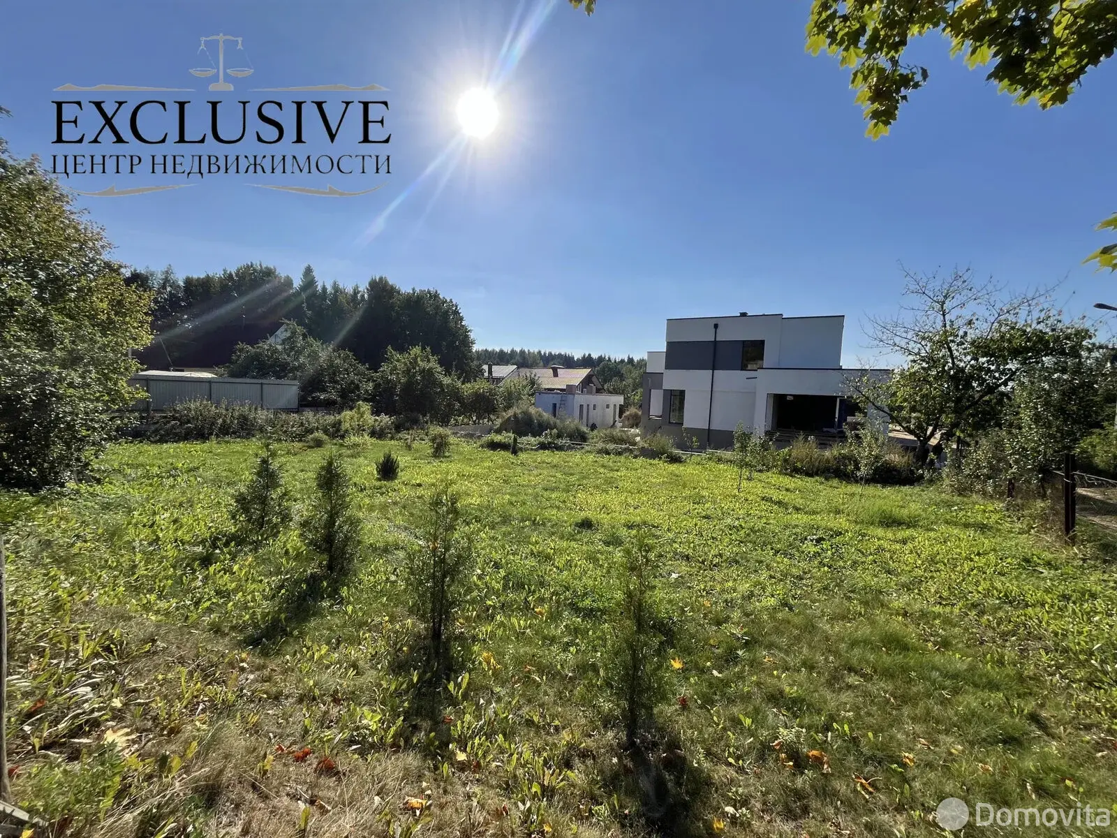 дача, Береза, 