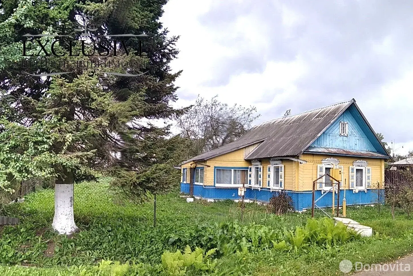 дом, Полоцк, ул. Нижнелуговая, д. 31 