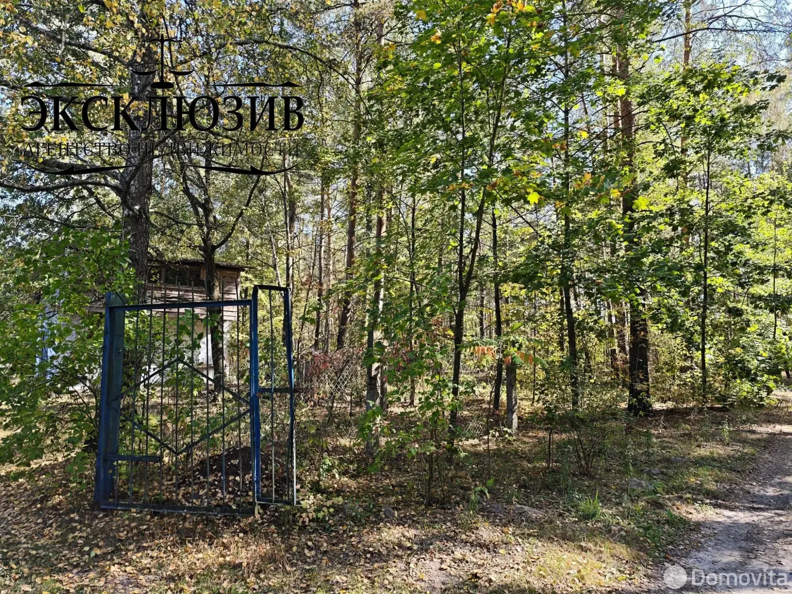 Продажа 1-этажной дачи в Калинино Гомельская область, 51000BYN, код 186113 - фото 19