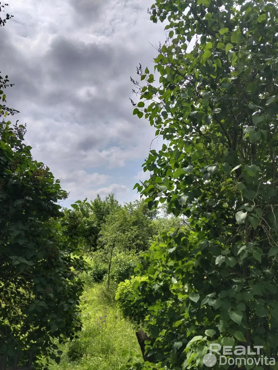 коттедж, Ольгово, ул. Южная 