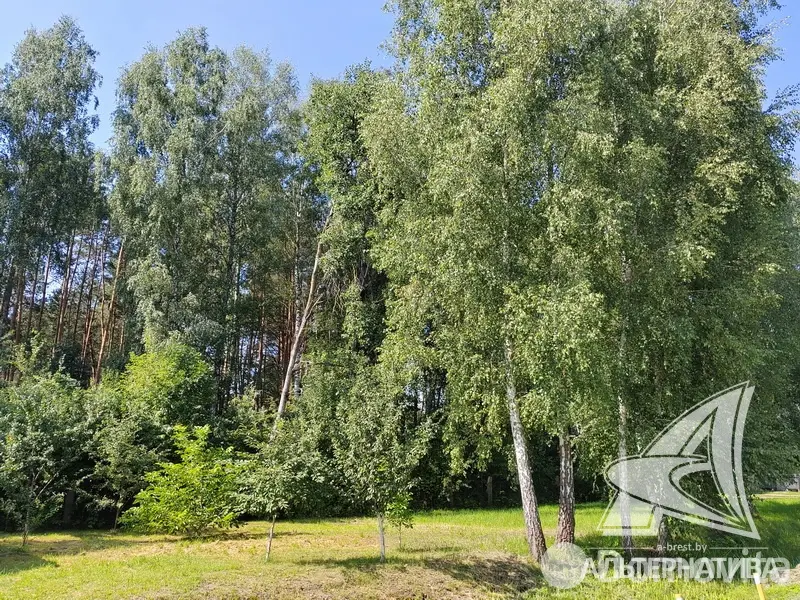 Купить 2-этажную дачу в Крыница-11 Брестская область, 21000USD, код 183746 - фото 23