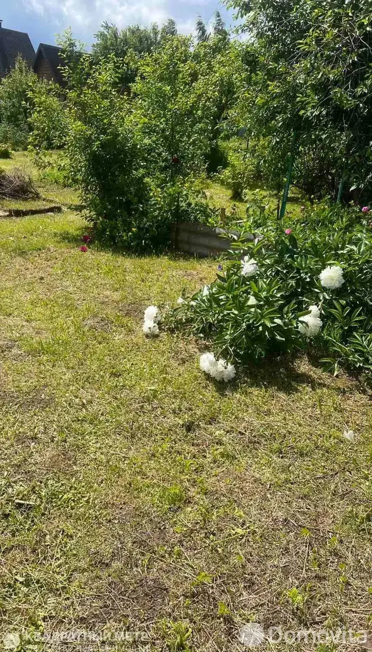 дача, Пралеска-плюс, 