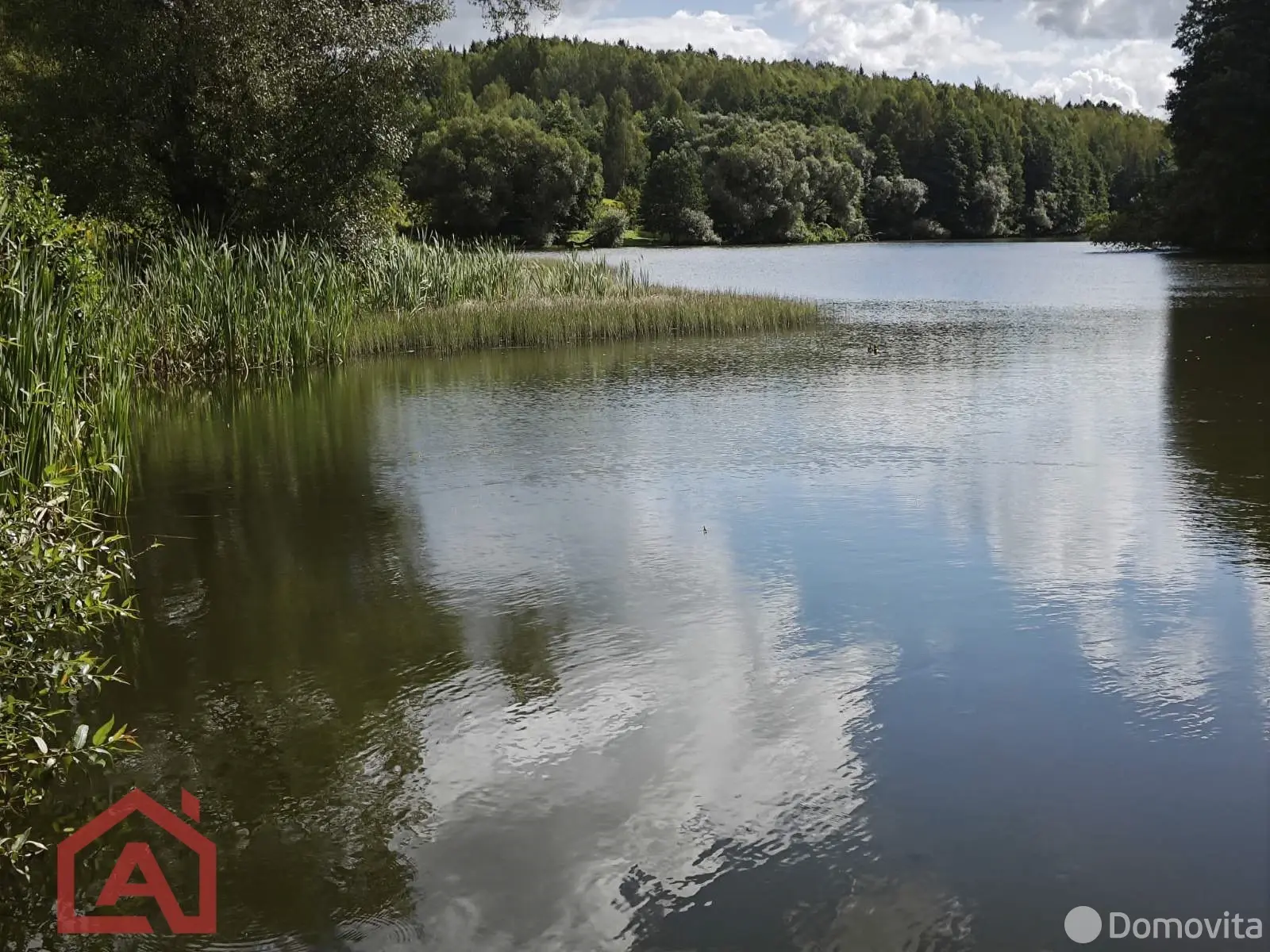 Купить земельный участок, 24.92 соток, Мончаки, Минская область, 54990USD, код 570913 - фото 41