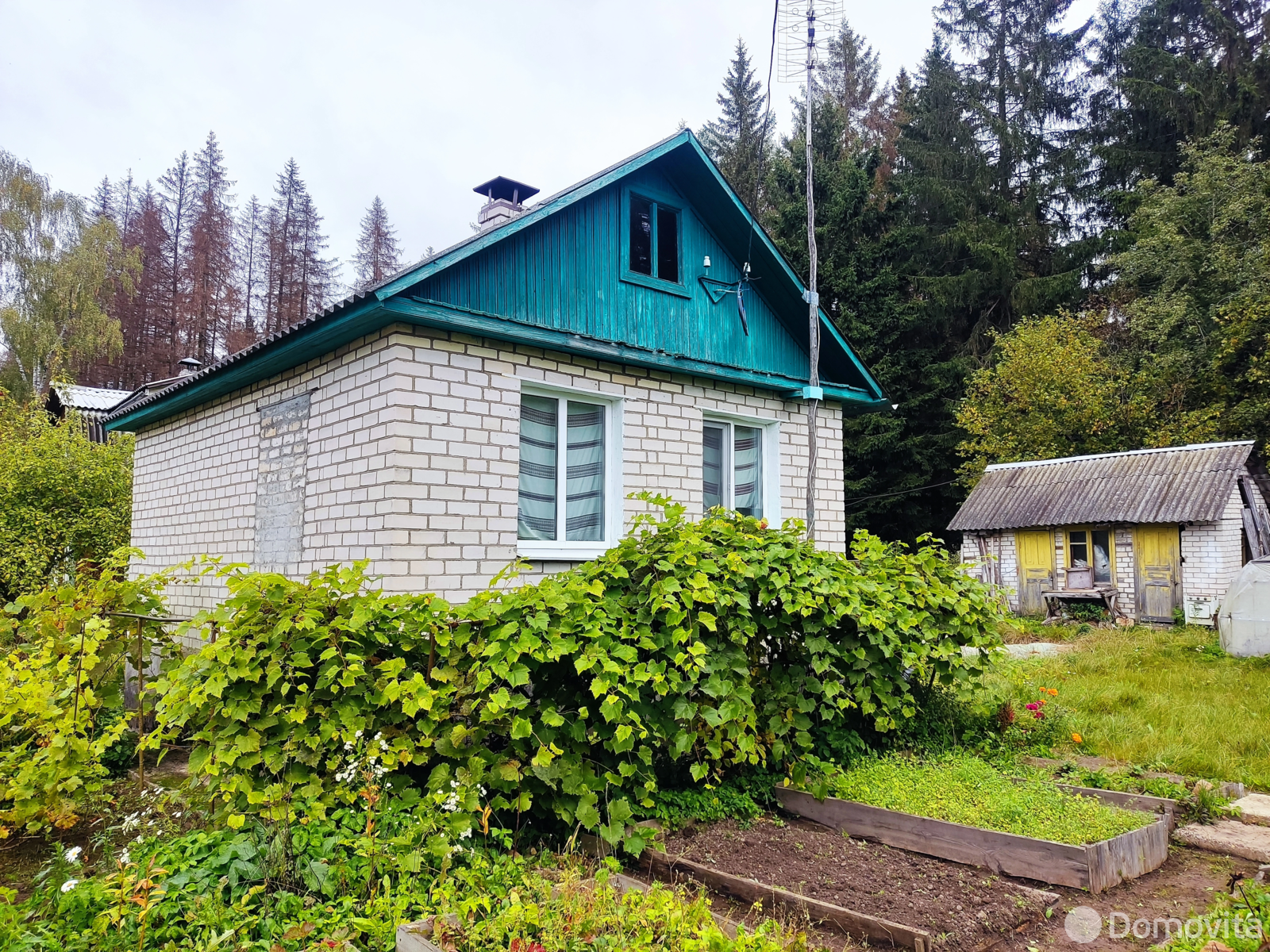 купить дачу, Петришки,