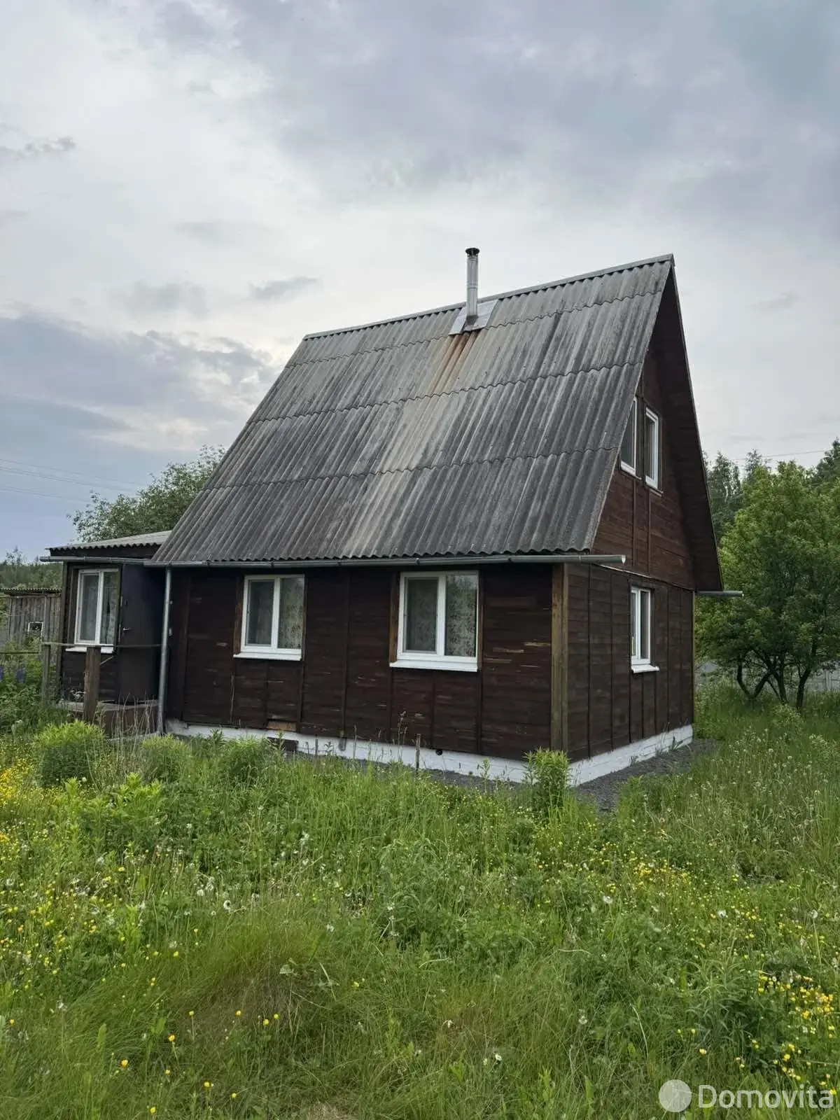 дача, Вишня, 