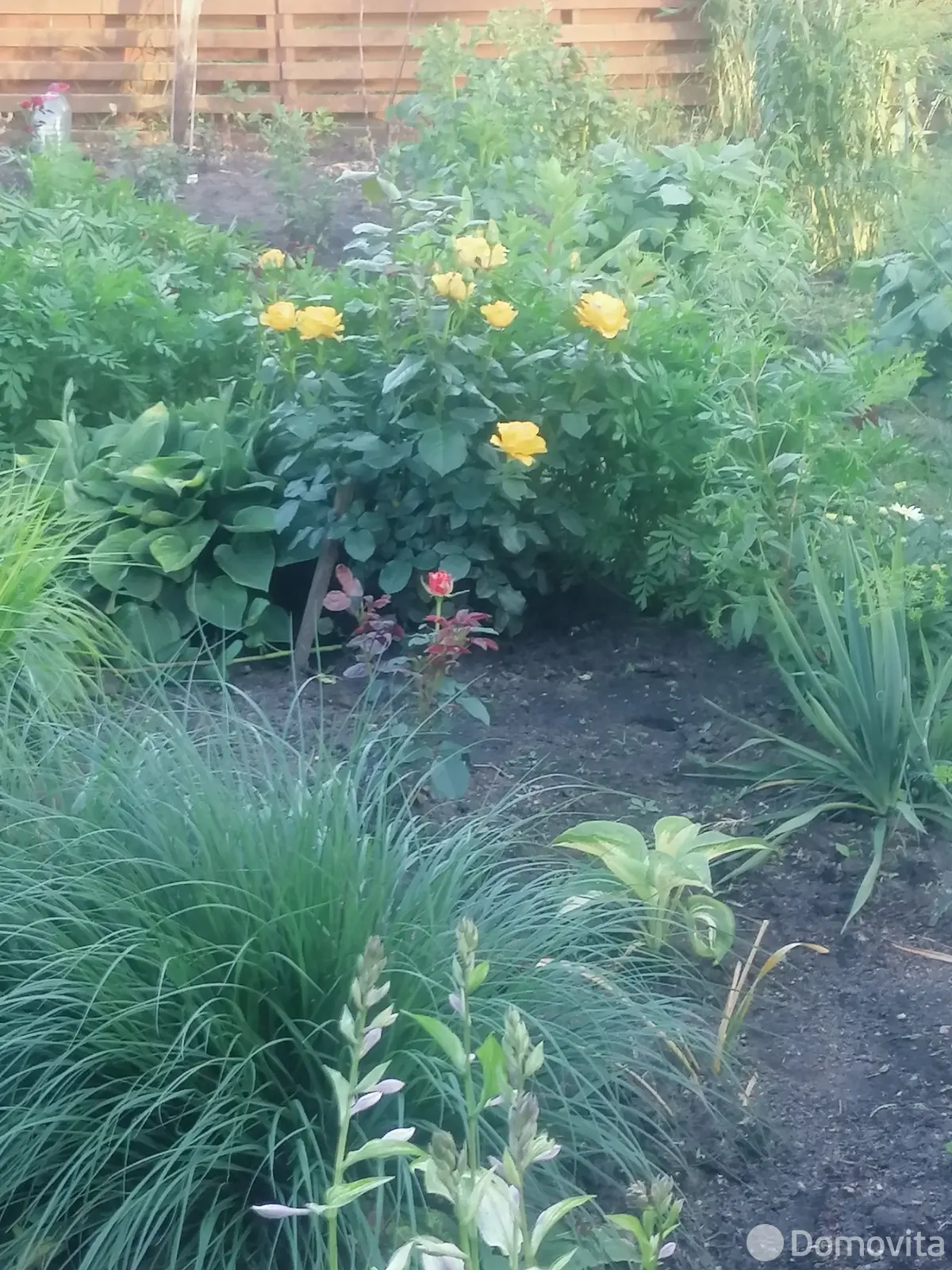 продажа дачи, Плянта, 