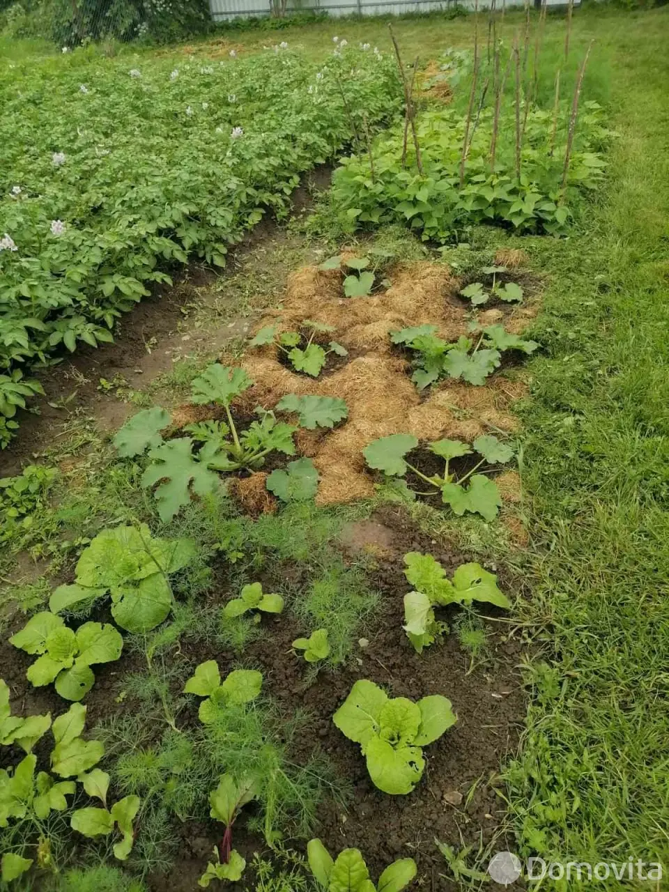 Цена продажи дачи, Дричин, 