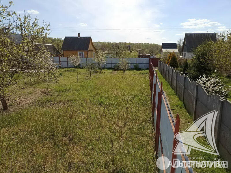 Купить земельный участок, 8.04 соток, Колос-9, Брестская область, 25000USD, код 567750 - фото 12