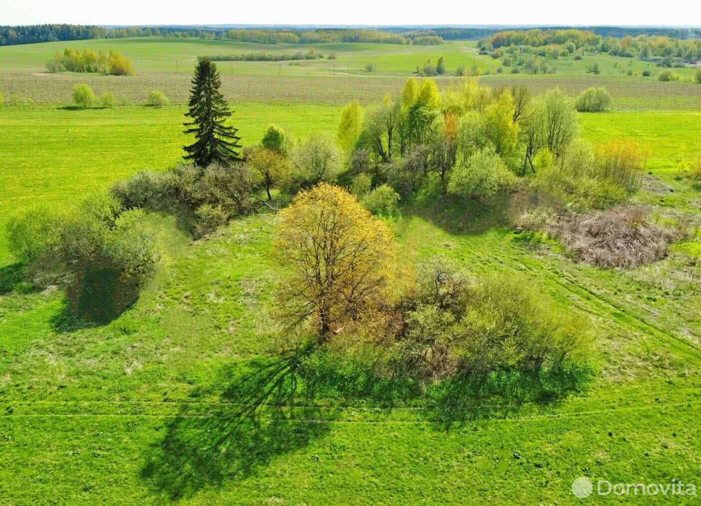 участок, Гиревичи, 