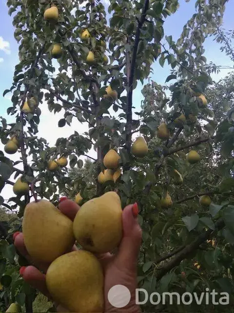 коттедж, Орша, пр-д Червенский, стоимость продажи 85 000 р.