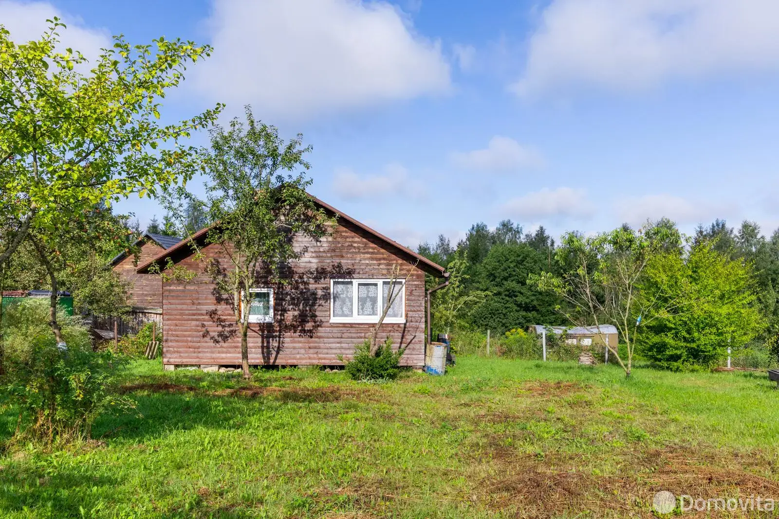 дача, АЛЕСЯ,