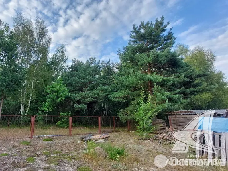 Продажа 1-этажной дачи в Армеец-3 Брестская область, 71000USD, код 183957 - фото 13