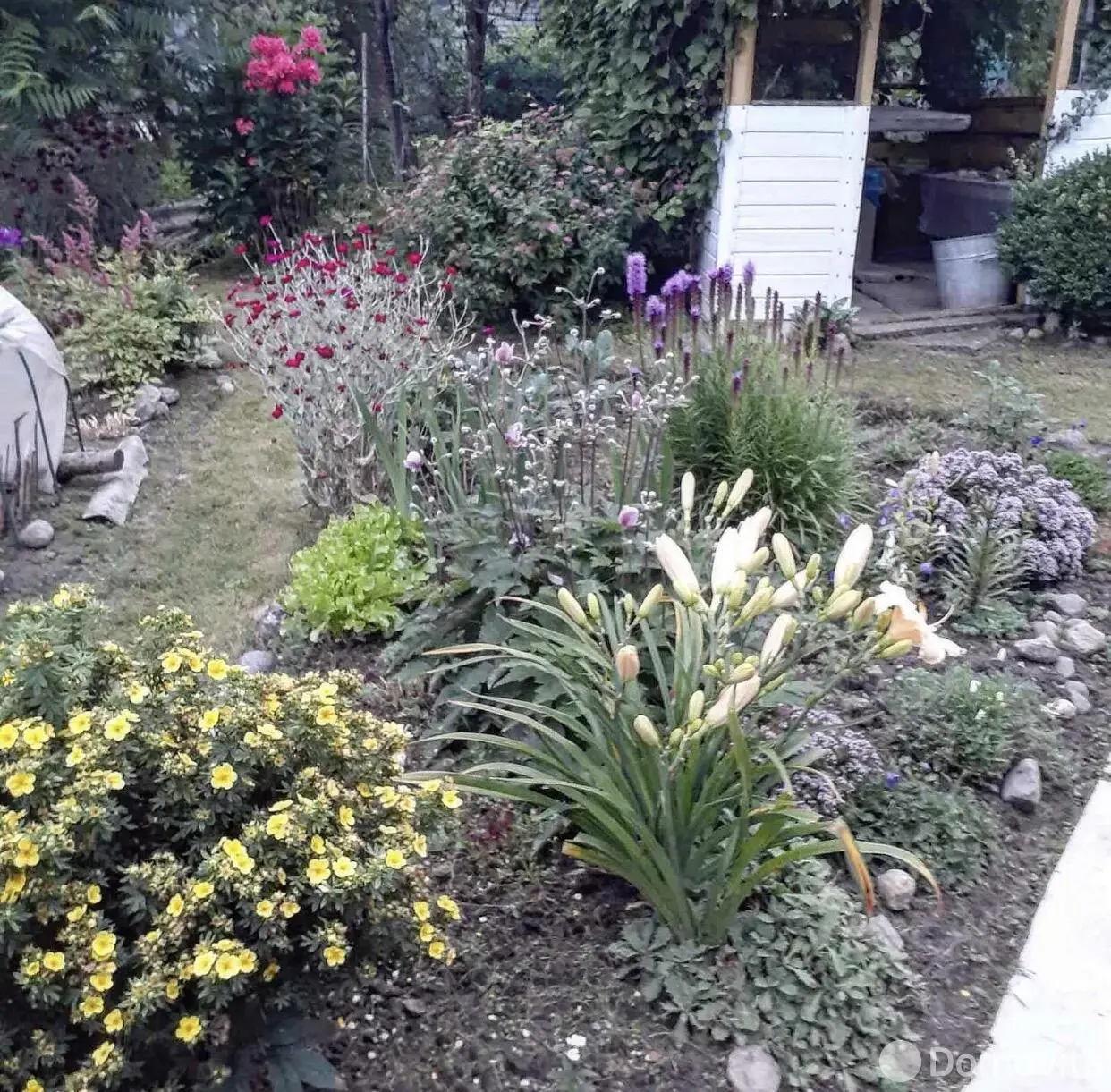 Продажа 1-этажной дачи в Крыница-91 Минская область, 18000USD, код 185481 - фото 18