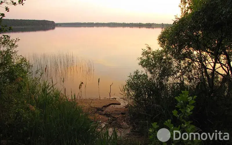 Купить помещение под сферу услуг в Колоднице, ул. Центральная, д. 108 - фото 18