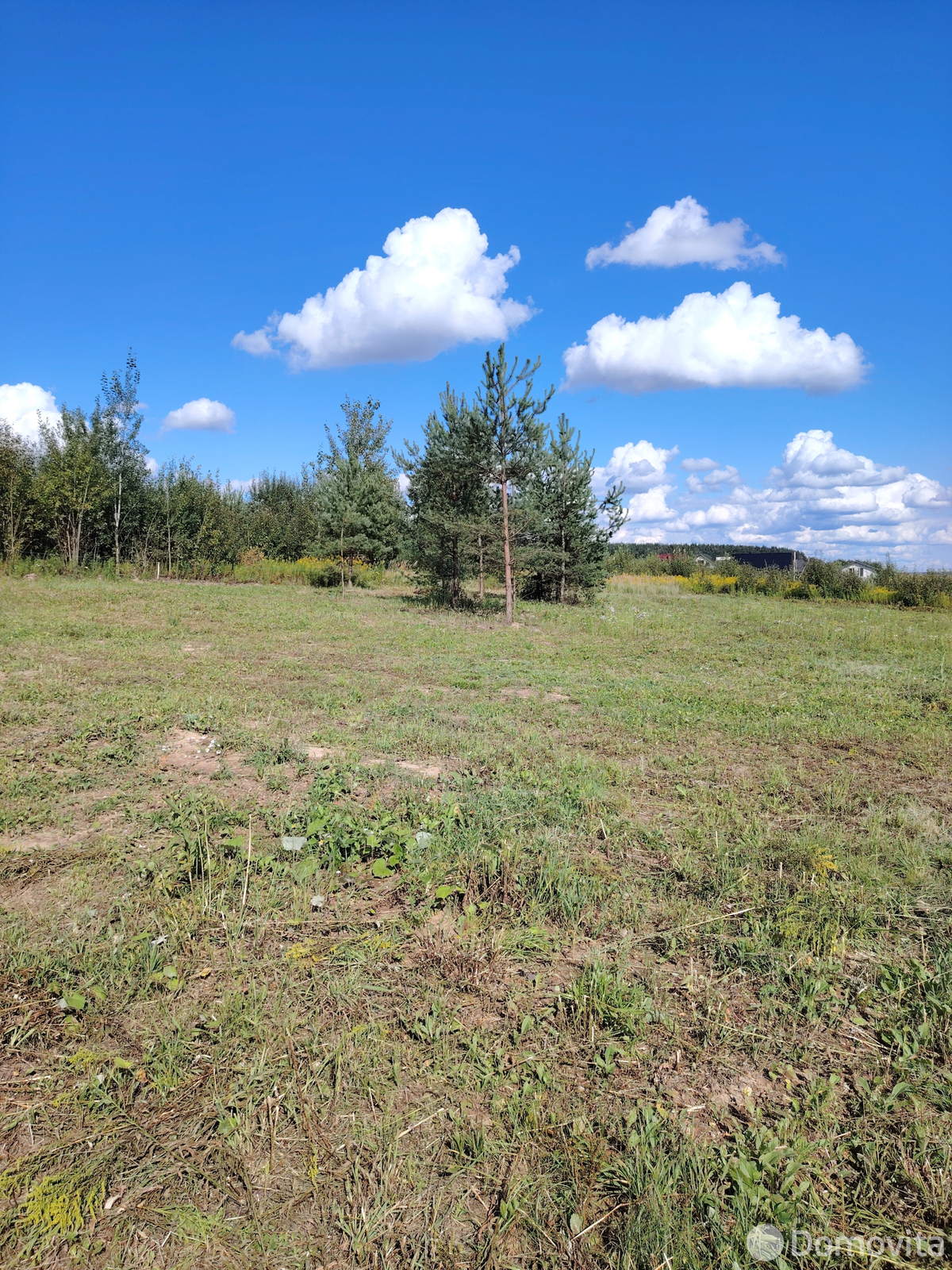 Купить земельный участок, 16.58 соток, Смолевичи, Минская область, 26000USD, код 569748 - фото 4