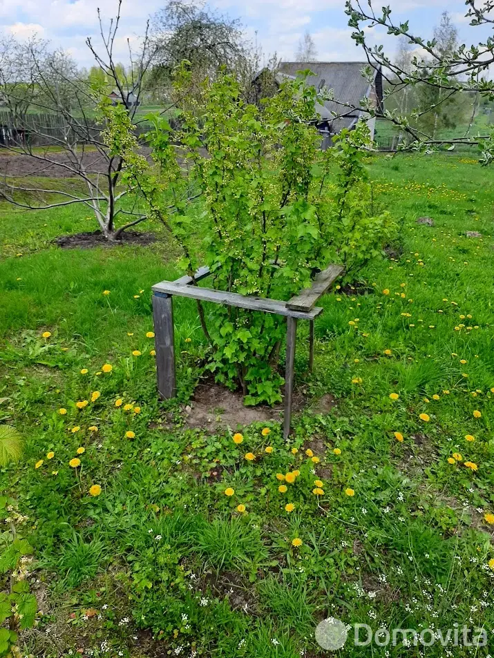 дом, Кнотовщина, ул. Центральная - лучшее предложение