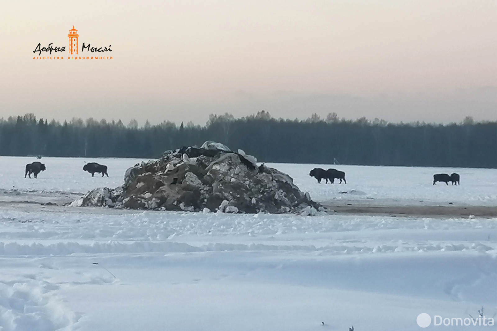 Купить 1-этажную дачу в Налибоках Минская область, 9500USD, код 184910 - фото 21