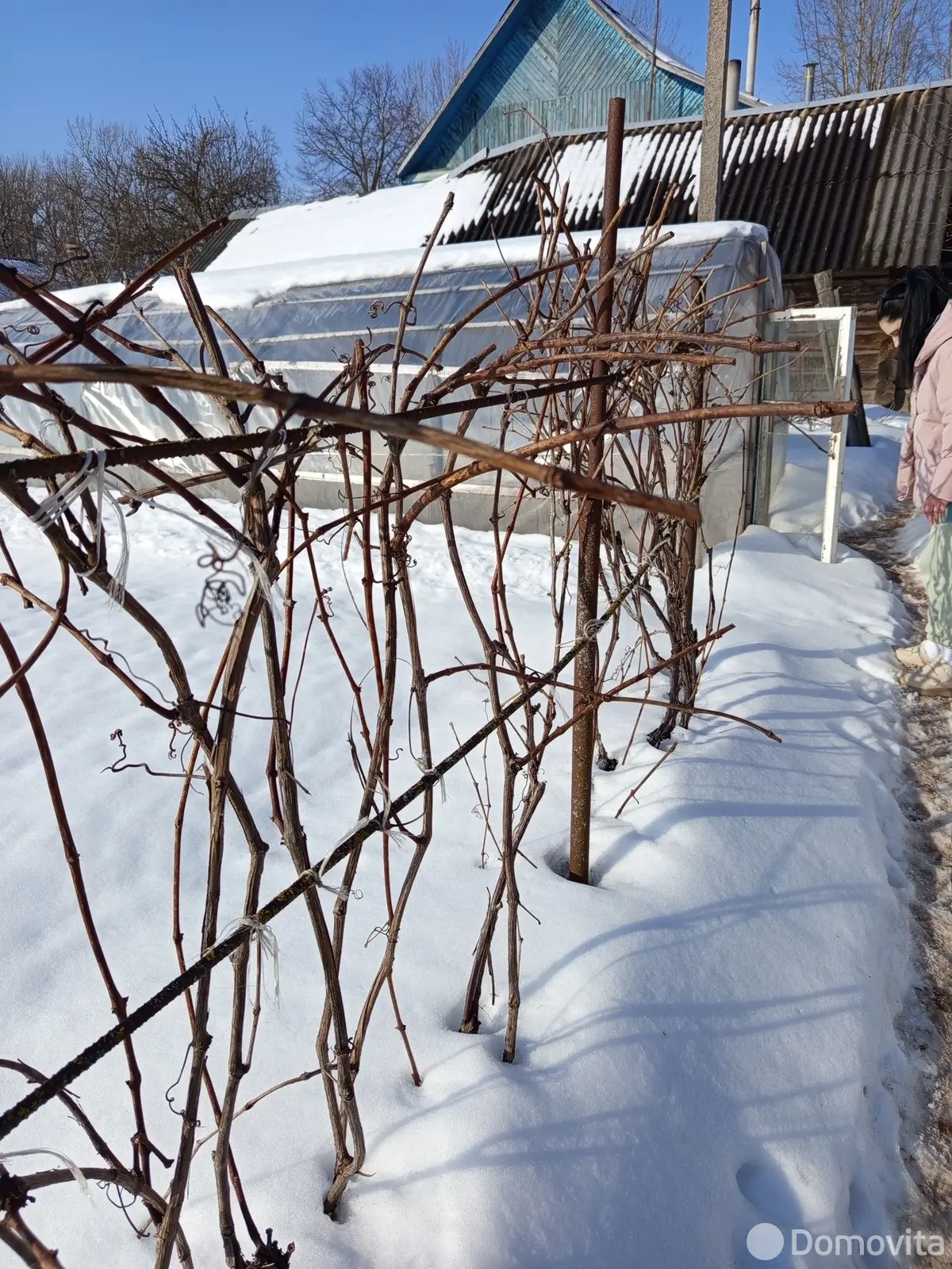 дом, Витебск, ул. Новосенненская, д. 28 