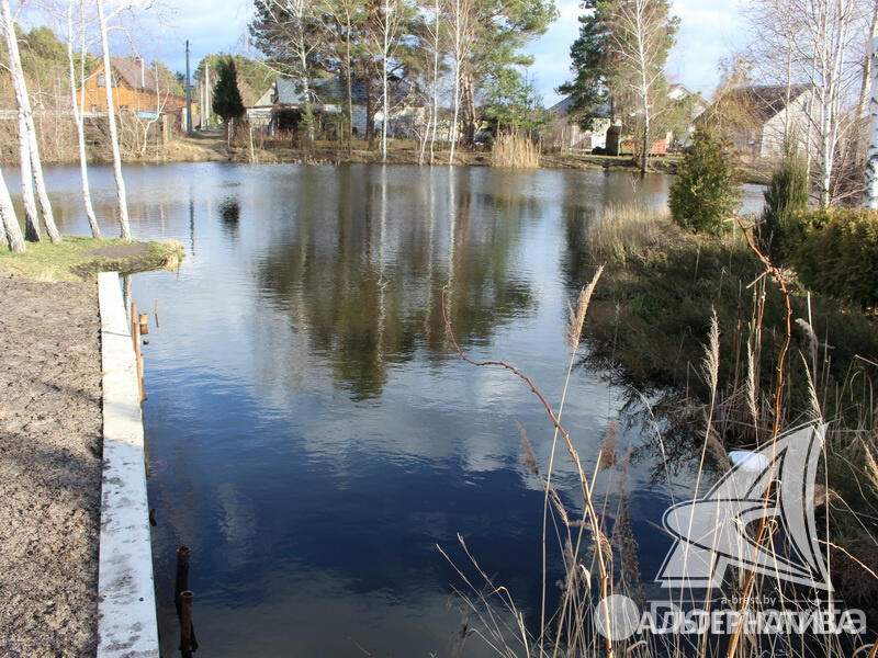 Купить земельный участок, 5.87 соток, Армеец-2, Брестская область, 19500USD, код 562176 - фото 13