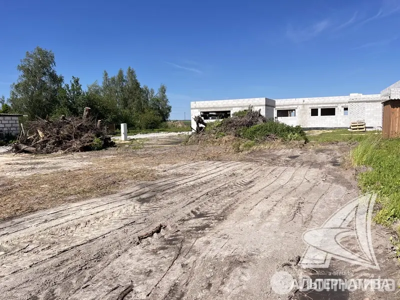 продажа дома, Большие Щитники, 
