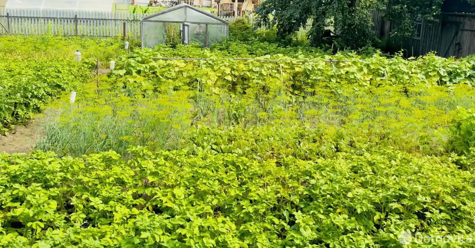 Продажа 1-этажной дачи в Минская область, 10900USD, код 185036 - фото 20