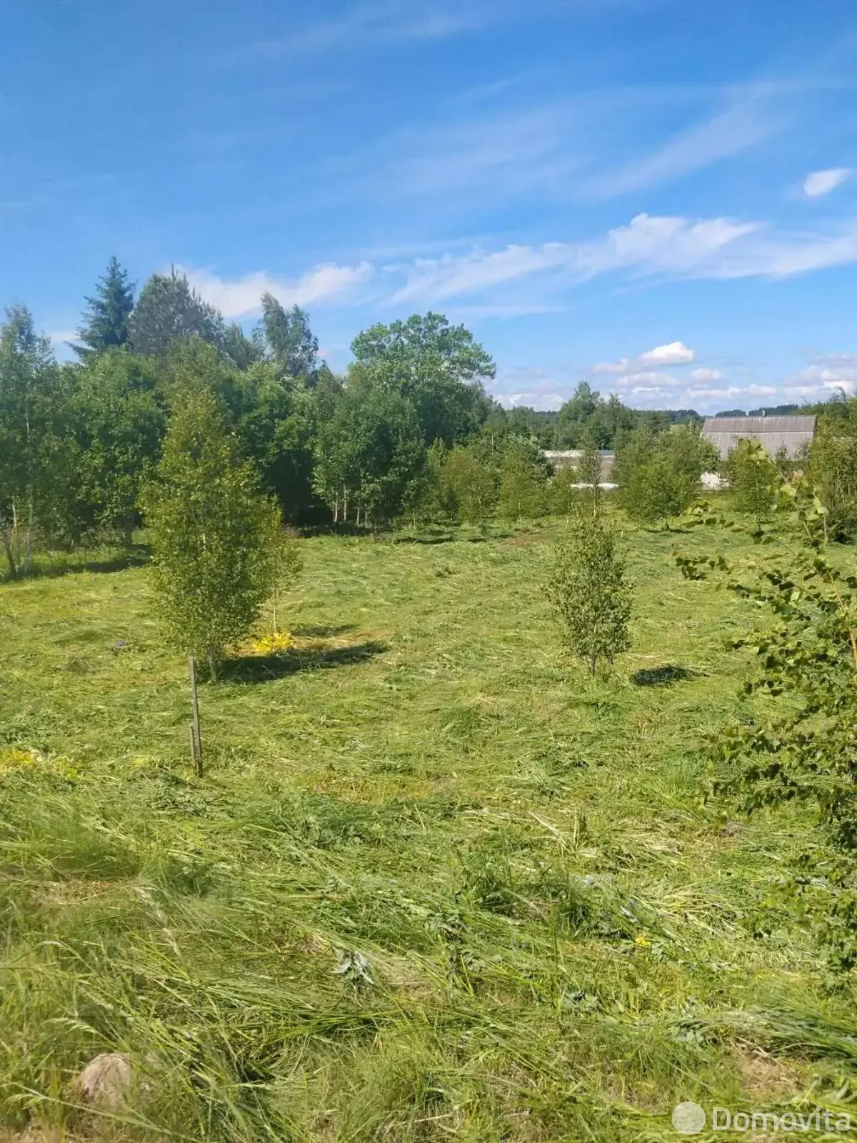 Стоимость продажи участка, Василевщина, ул. Шоссейная, д. 1