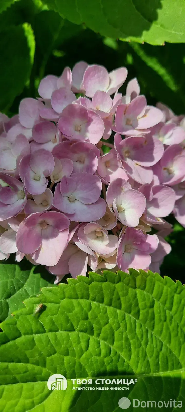 Продажа 1-этажной дачи в Золотой колосок Минская область, 15000USD, код 184931 - фото 13