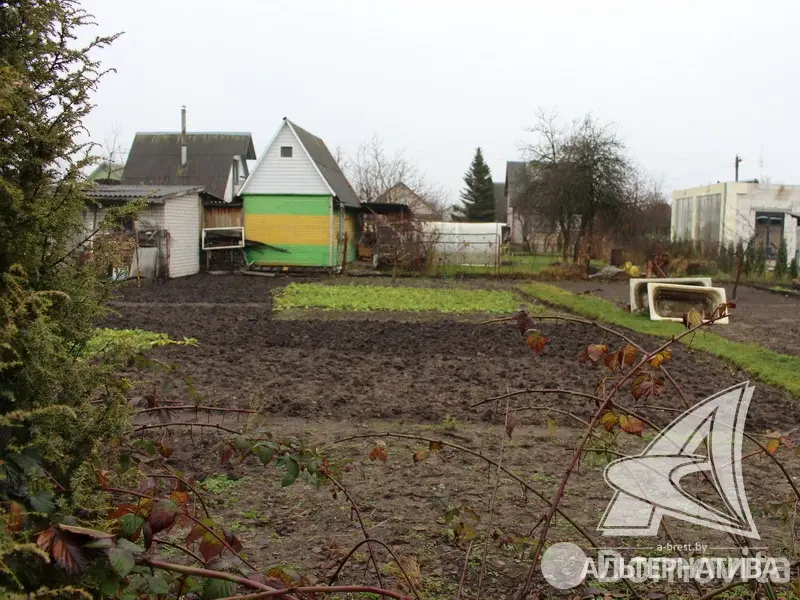 Стоимость продажи участка, Урожай ОАО Брестхлебопродукт, 