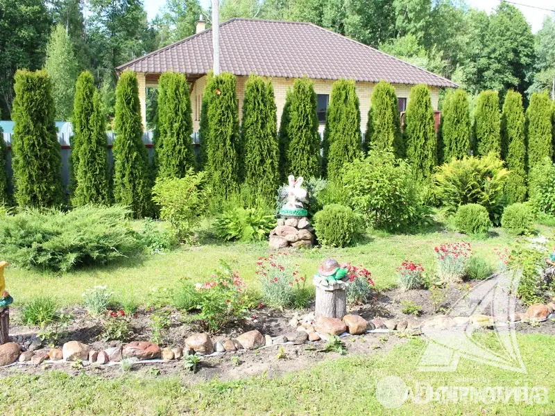 Купить 1-этажную дачу в Астра Гродненская область, 54000USD, код 183142 - фото 32