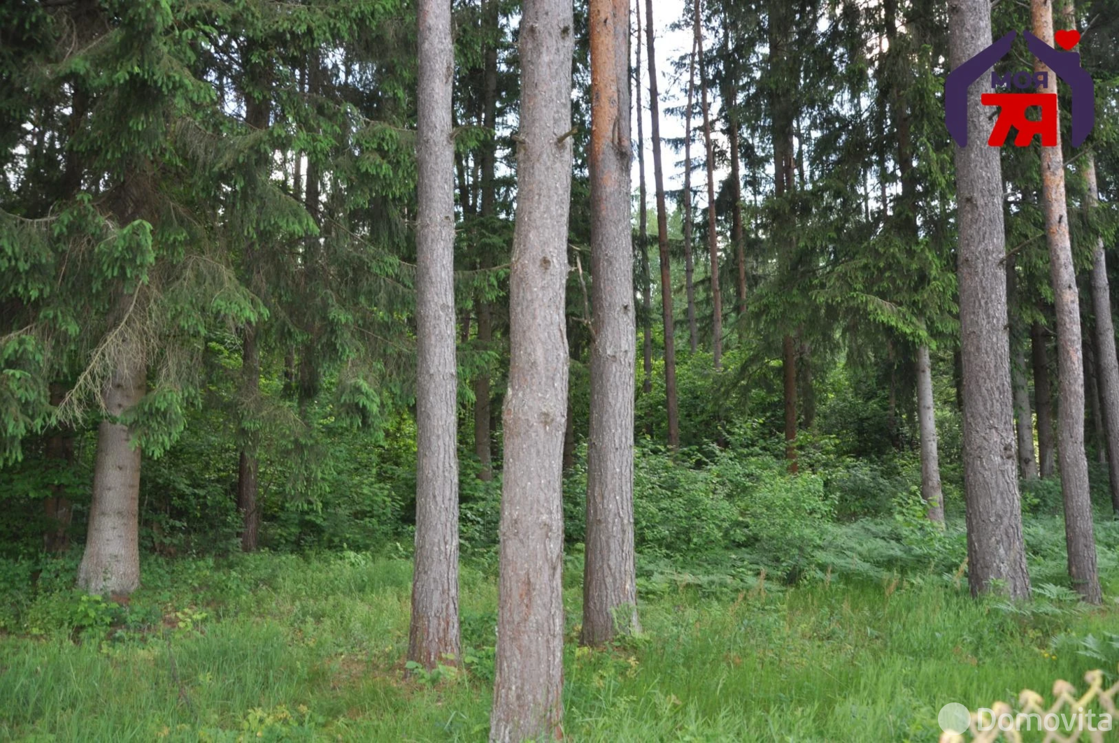 Продажа 2-этажной дачи в Березка-1998 Минская область, 10900USD, код 178999 - фото 22