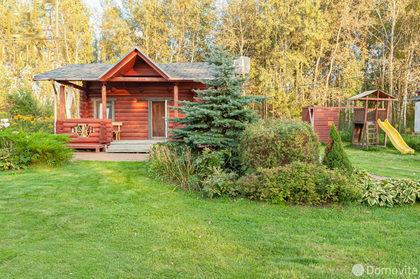 дача, Пограничник,