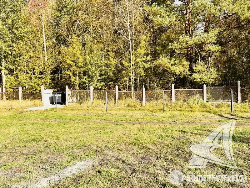 Продажа 1-этажной дачи в Полиграфист-82 Брестская область, 36000USD, код 184416 - фото 29