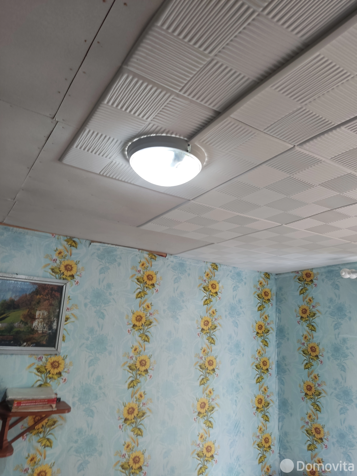 Продажа 1-этажной дачи в Халаимовщиной Минская область, 5000USD, код 183656 - фото 16