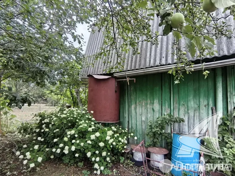 купить дачу, Леснянка,