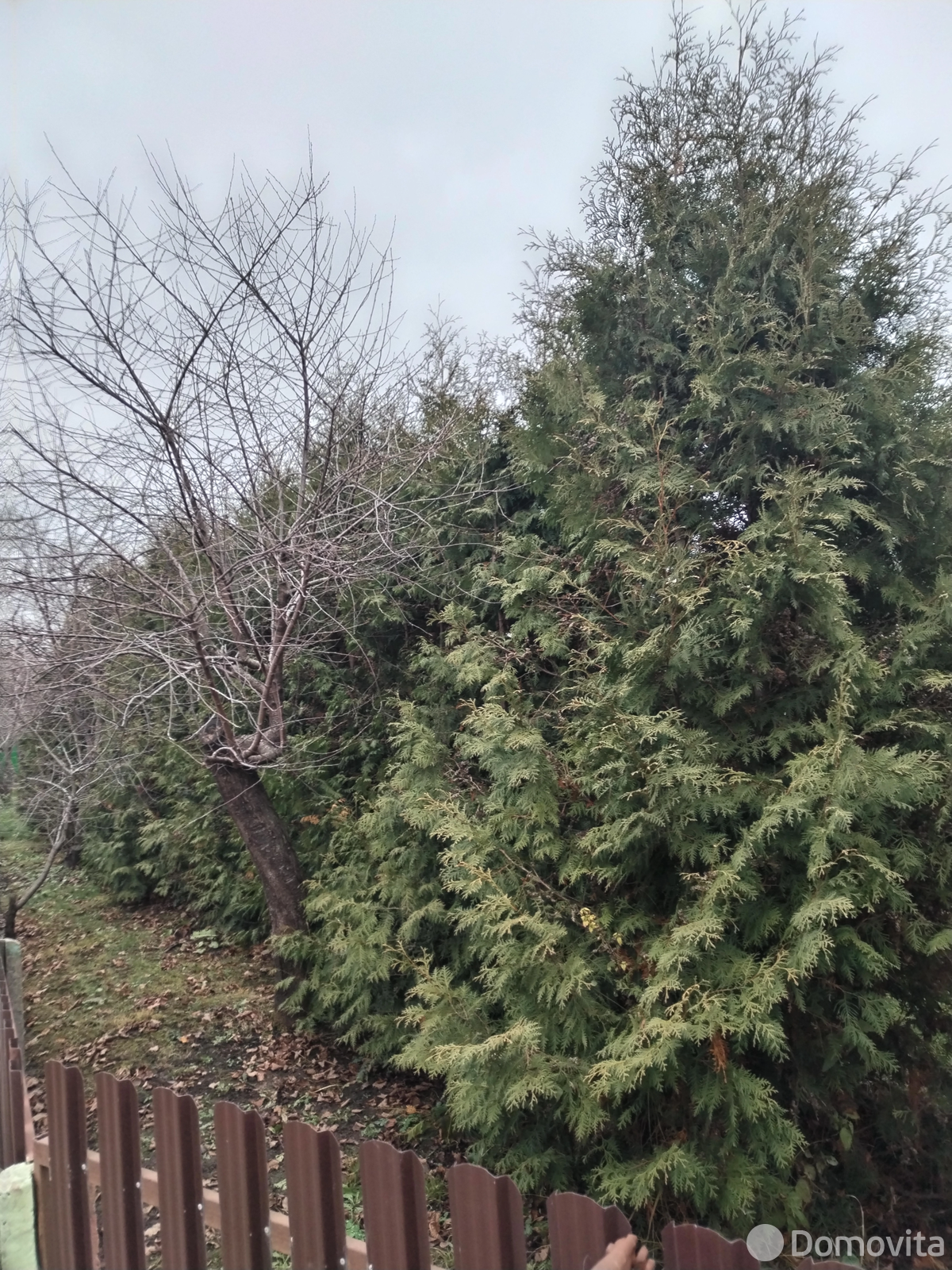 коттедж, Марьина Горка, ул. Октябрьская, д. 95 