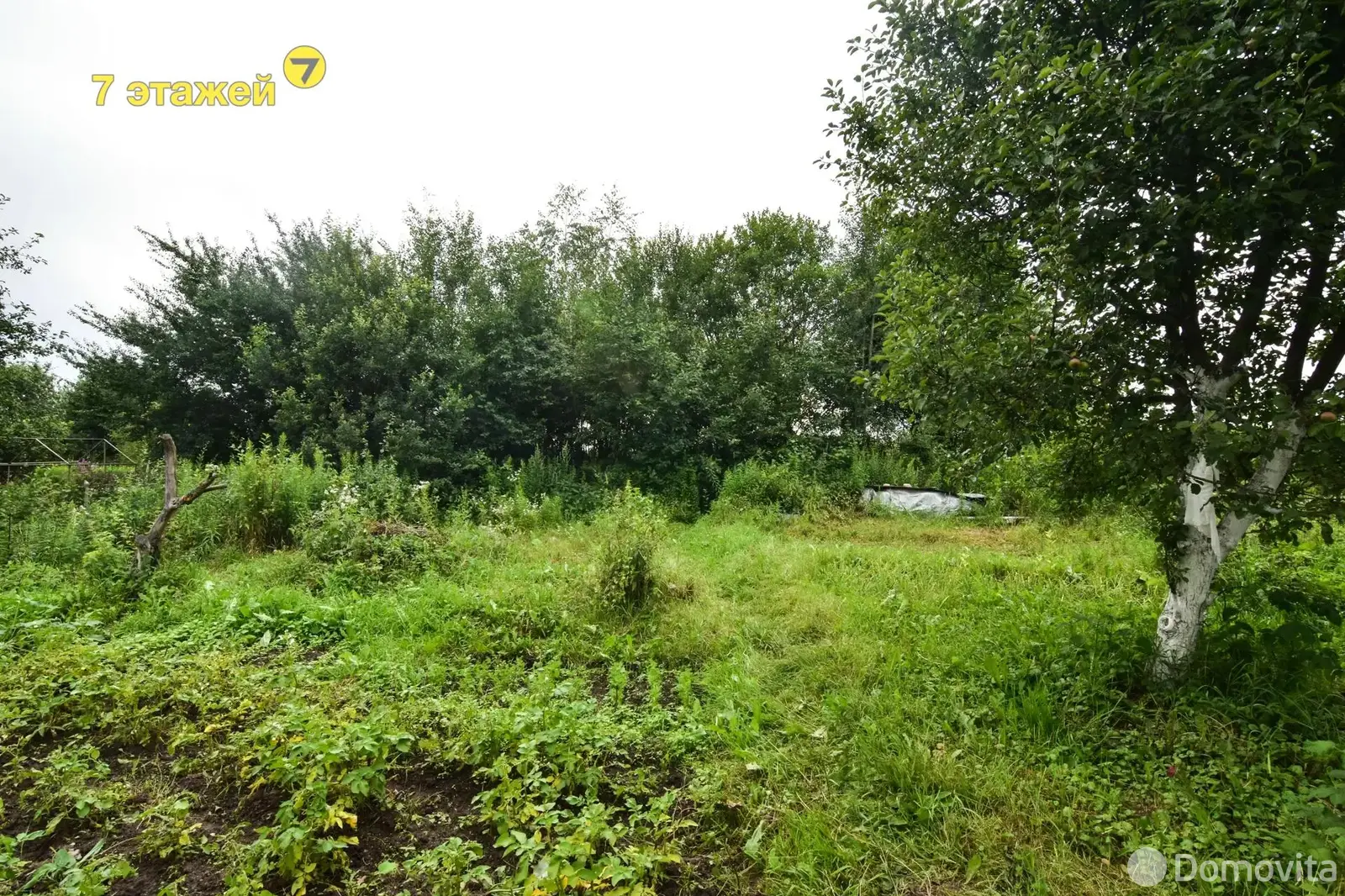 дача, Маяк-БелдорНИИ, , стоимость продажи 87 261 р.