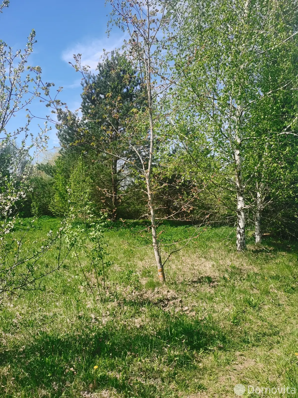 Стоимость продажи дачи, Богушевск, 
