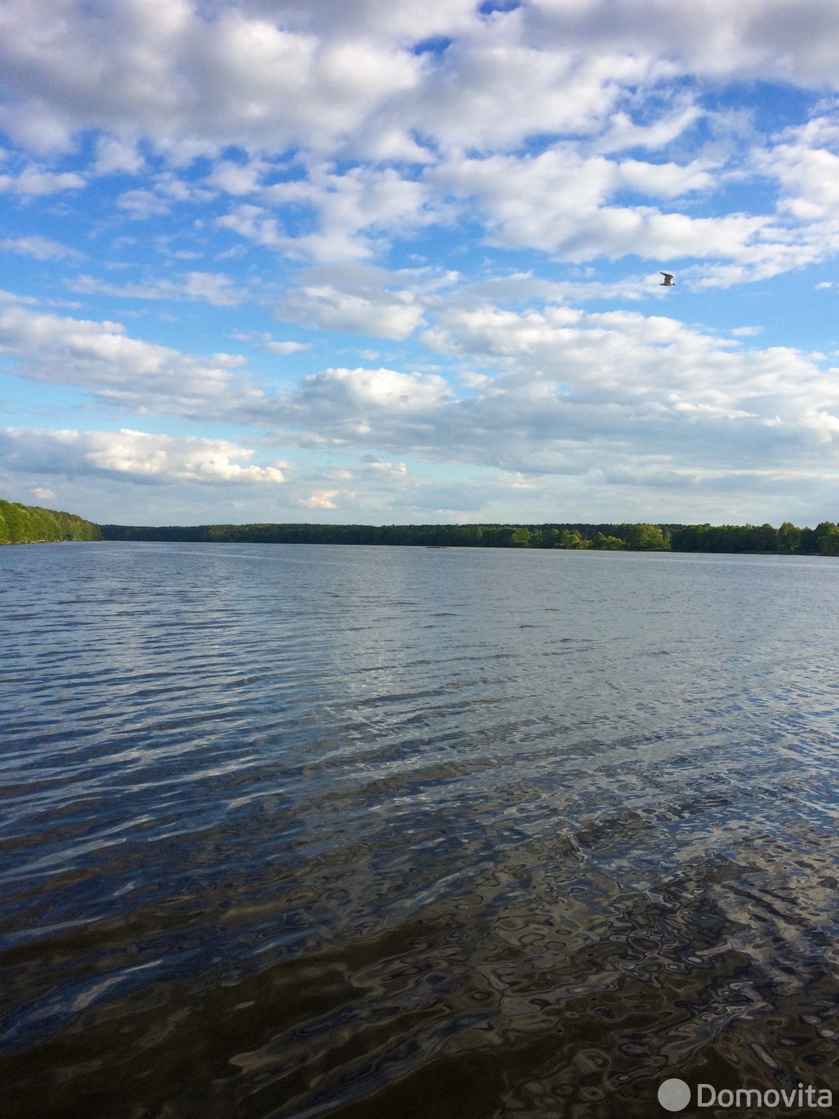 Продажа 2-этажной дачи в Вязье Могилевская область, 32000USD, код 181668 - фото 15