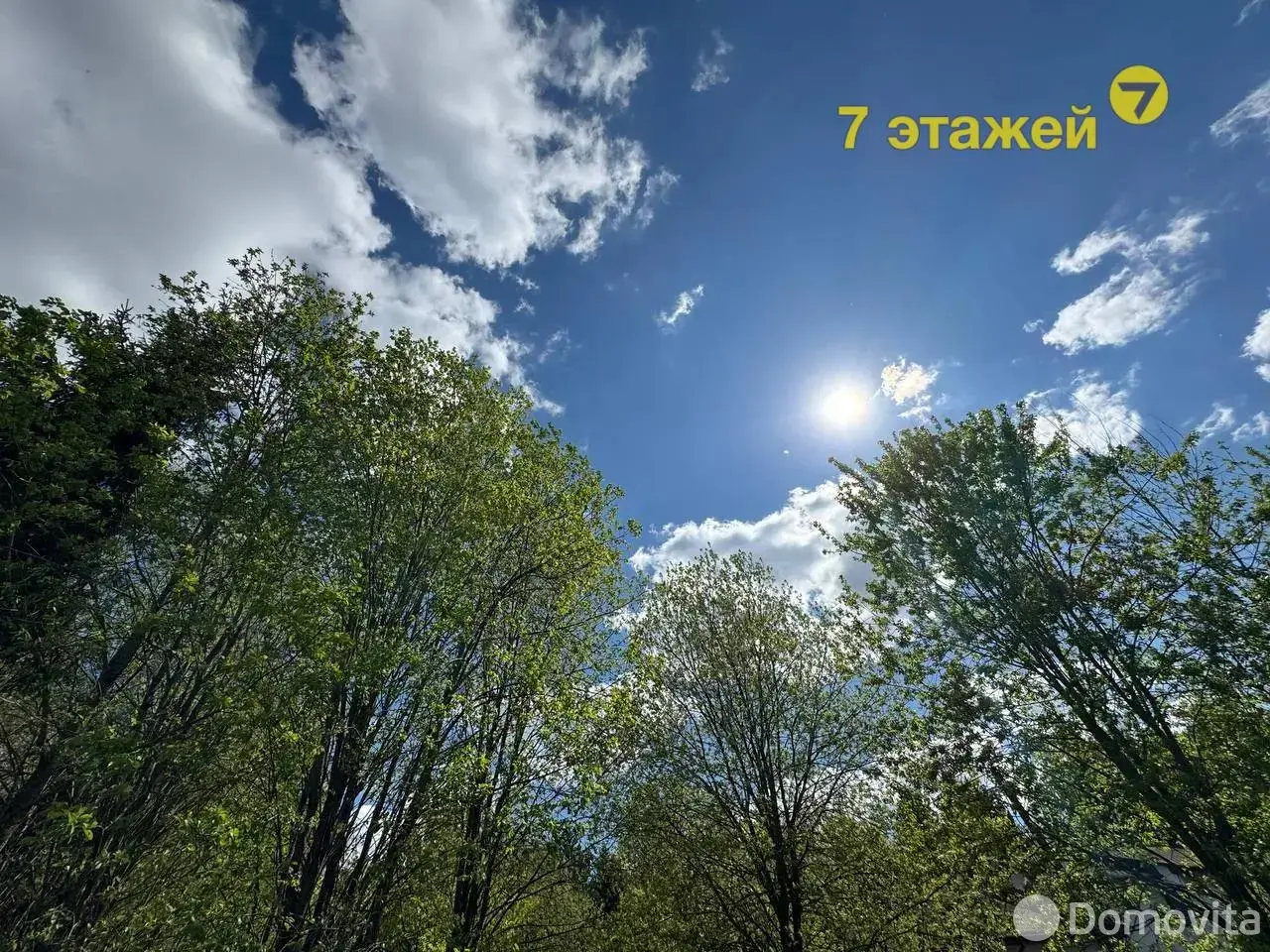участок, ПРОЛЕСКА ЦКБ, 