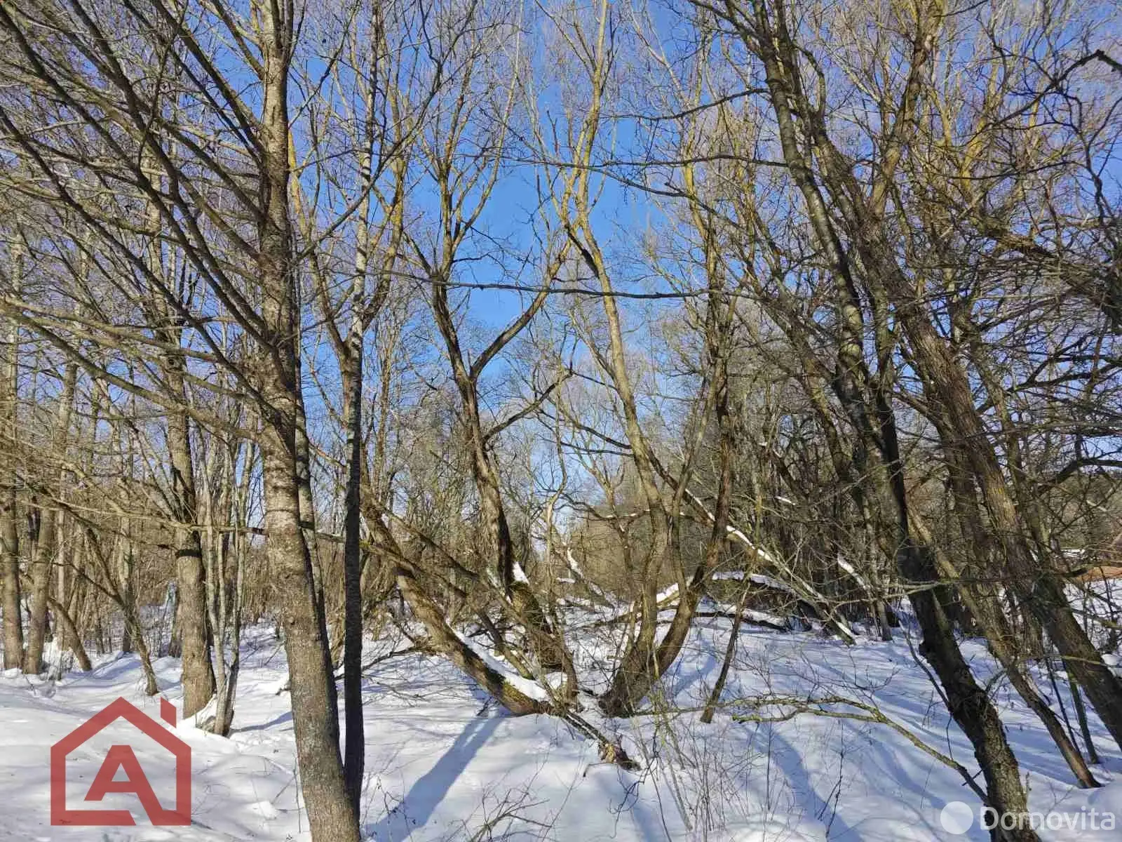 Купить земельный участок, 11.94 соток, Мочаны, Минская область, 39500USD, код 571533 - фото 17